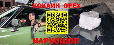 a pvp Новозыбков