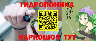 спиды Аргун