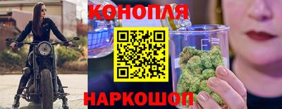 спиды Аргун
